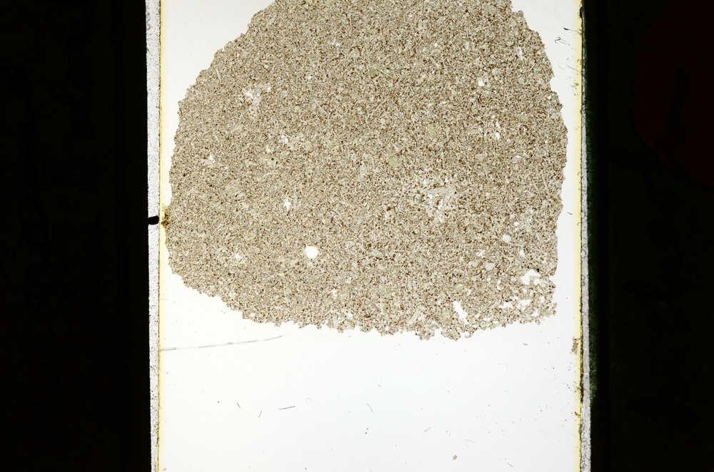 Plane Polarized, ED2278