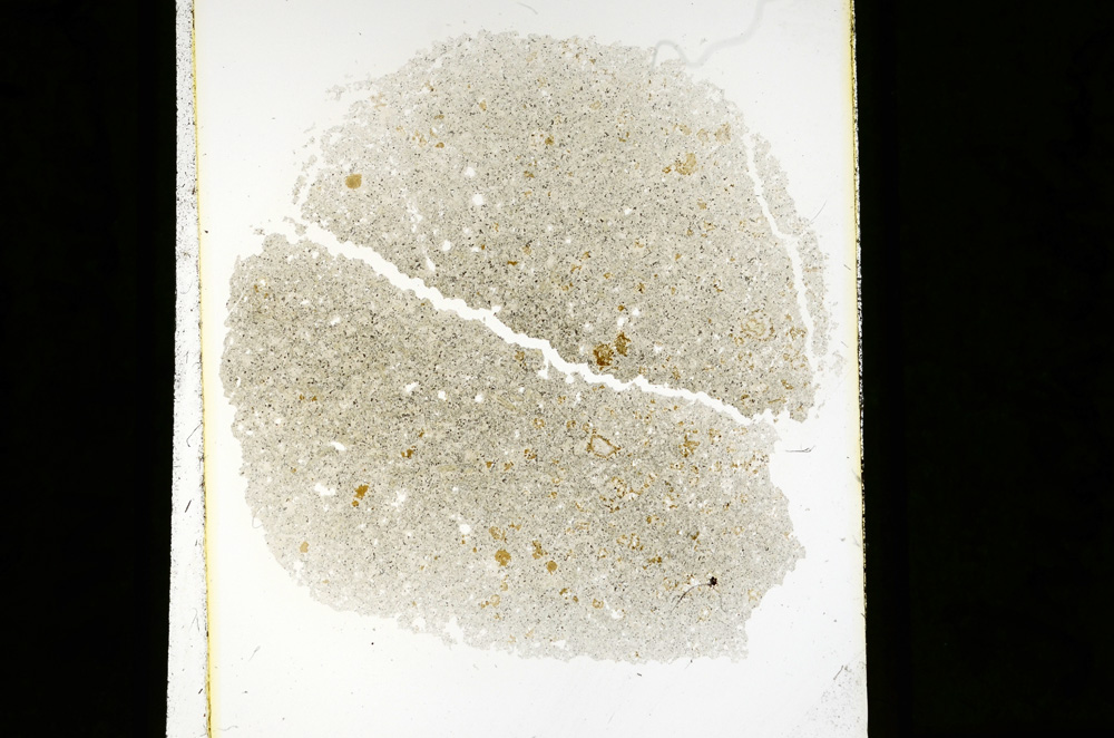 Plane Polarized, ED2328