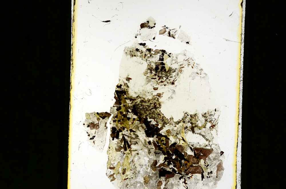 Plane Polarized, ED2387