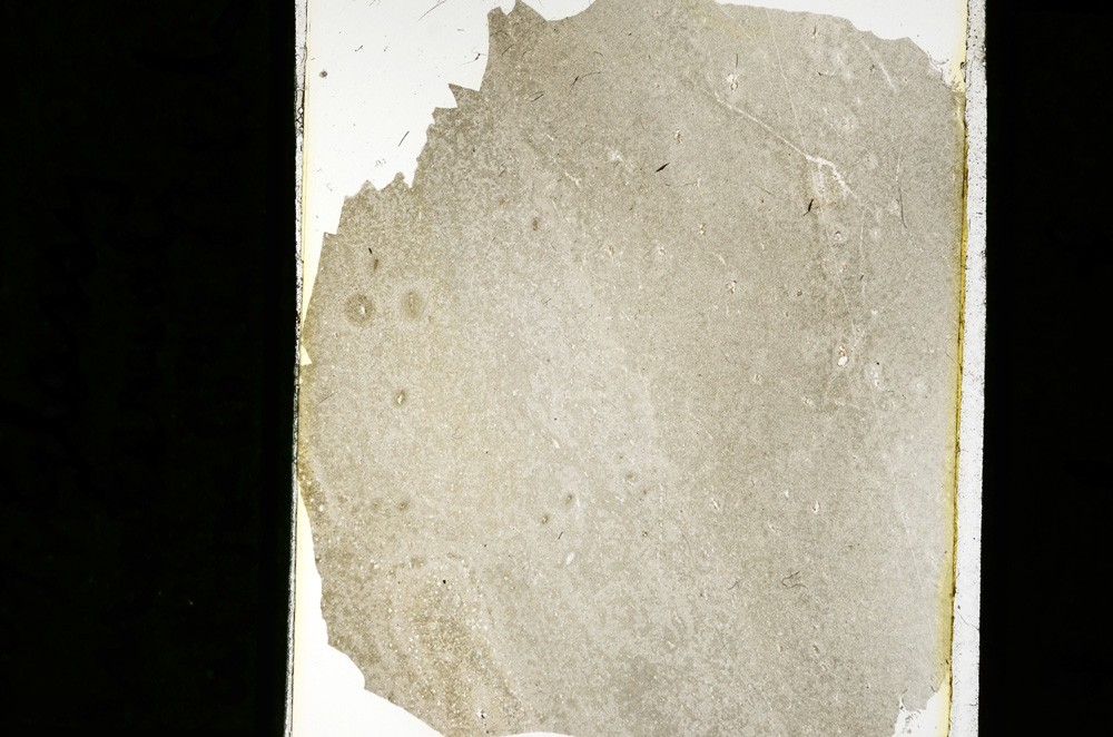 Plane Polarized, ED2393