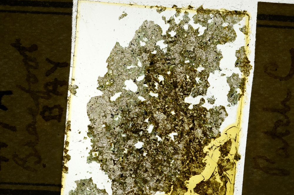 Plane Polarized, ED2451