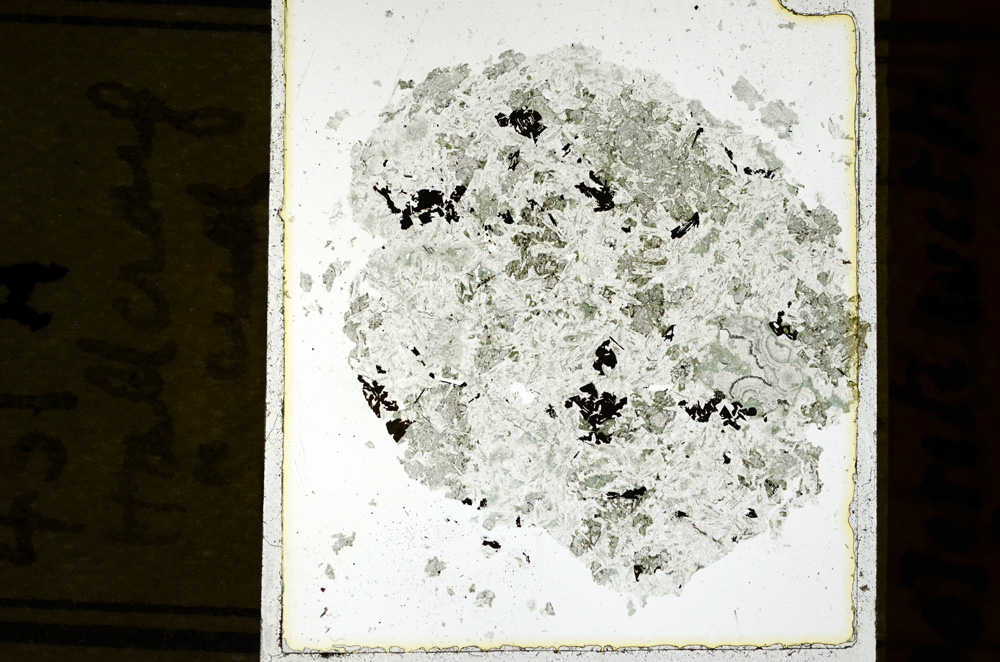 Plane Polarized, ED2465