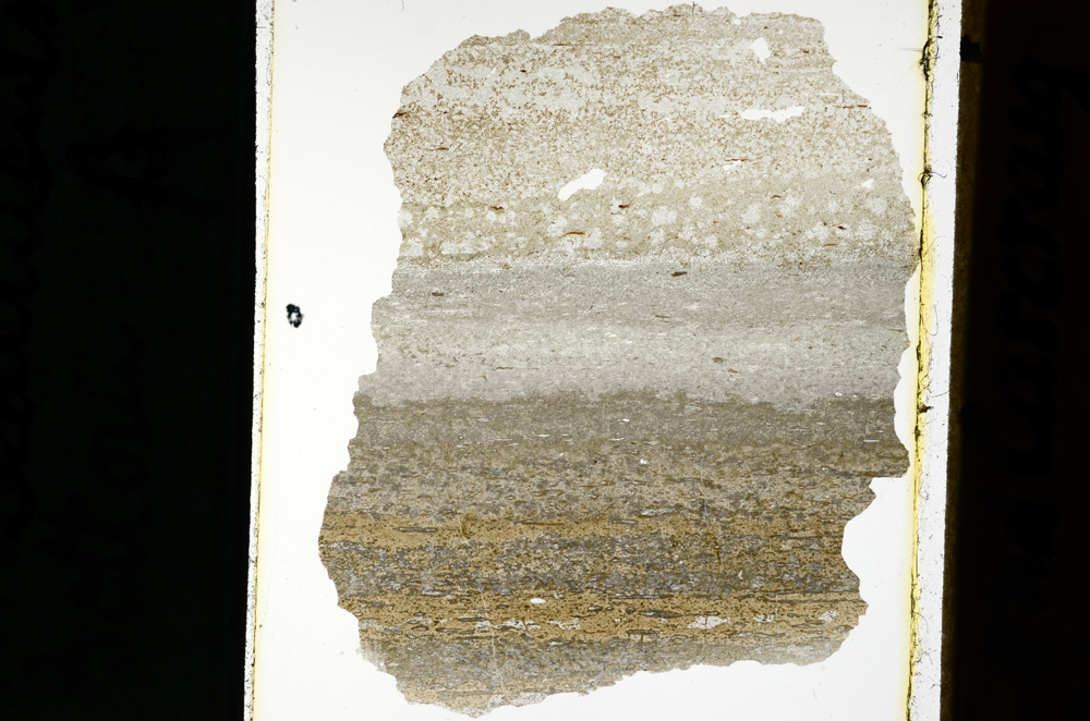 Plane Polarized, ED2528