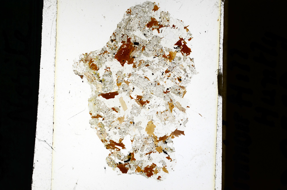 Plane Polarized, ED2542