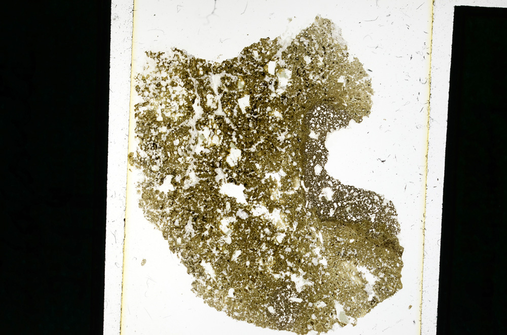 Plane Polarized, ED2555