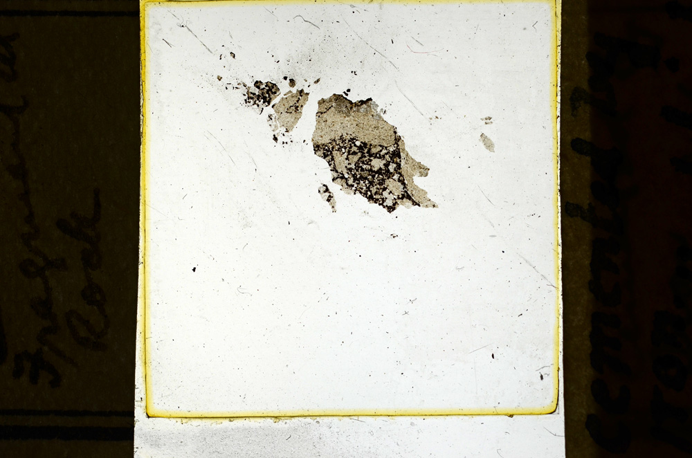 Plane Polarized, ED2676