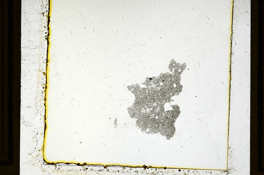 Plane Polarized, ED2736