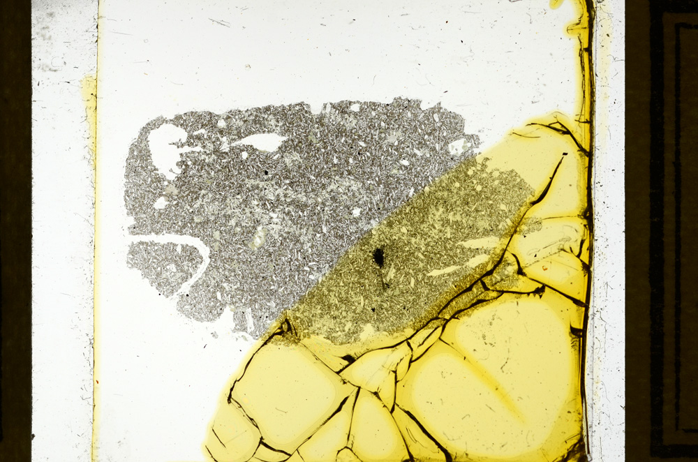 Plane Polarized, ED2748