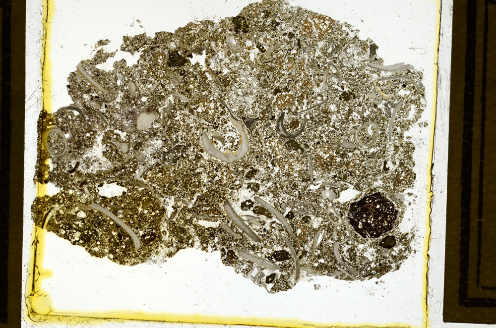 Plane Polarized, ED2766