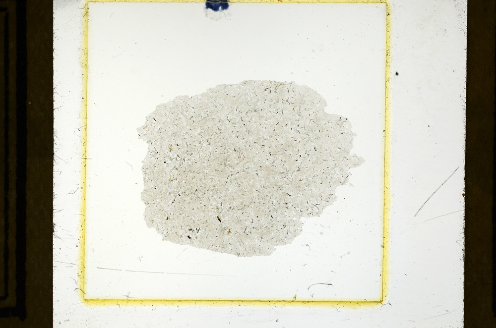 Plane Polarized, ED2829