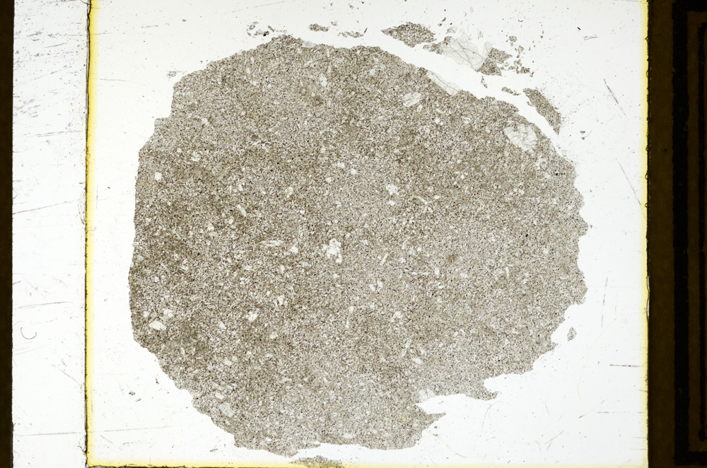 Plane Polarized, ED2943