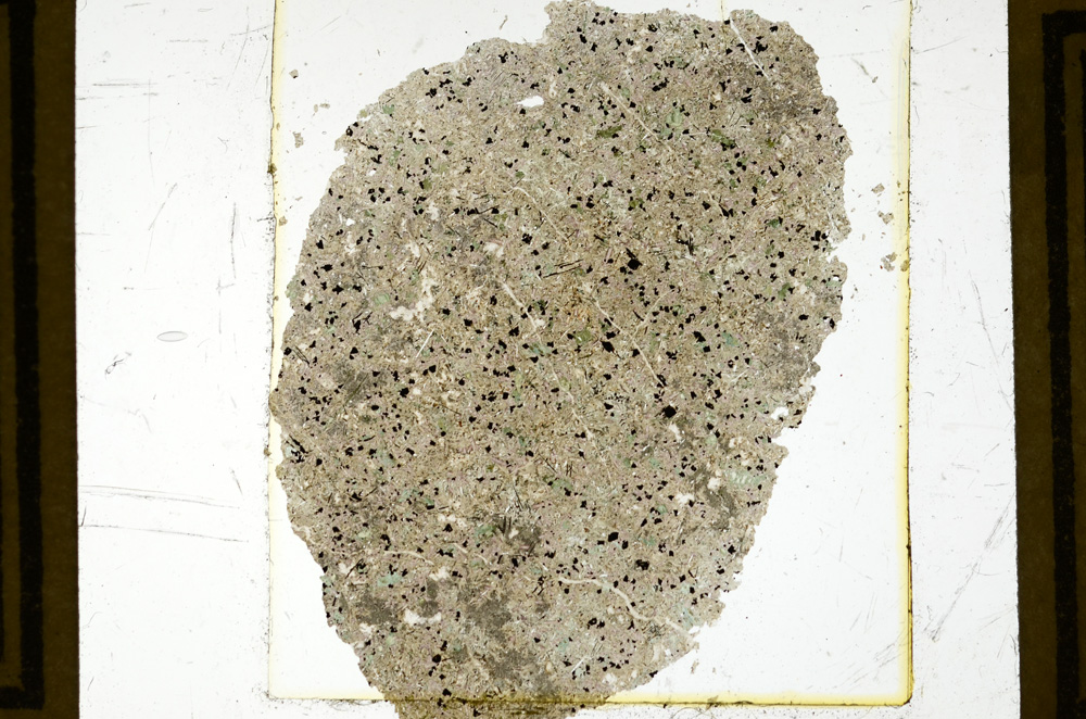 Plane Polarized, ED2946