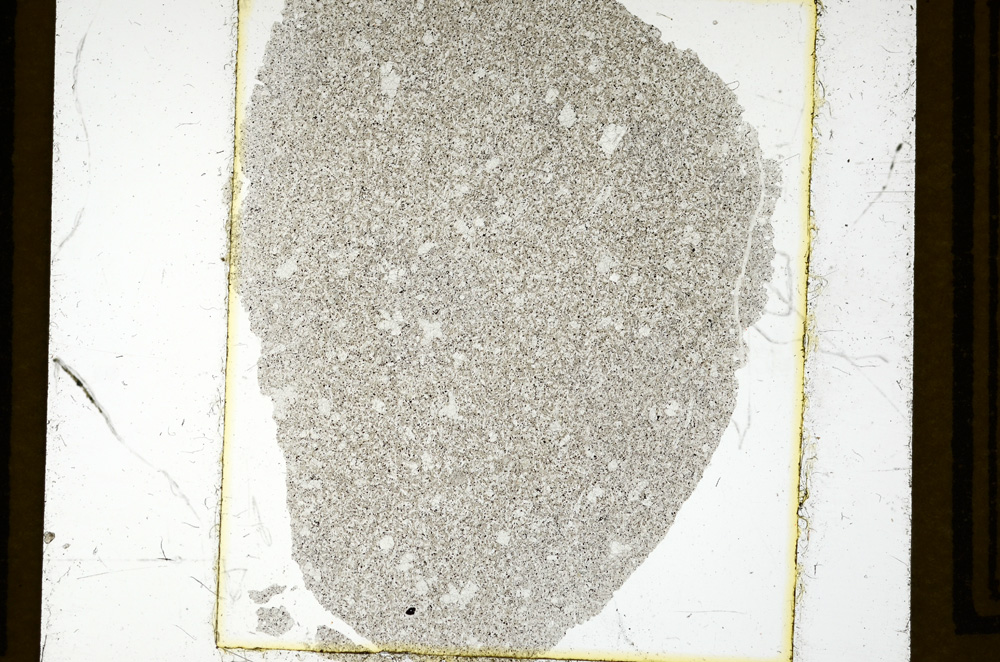 Plane Polarized, ED2950