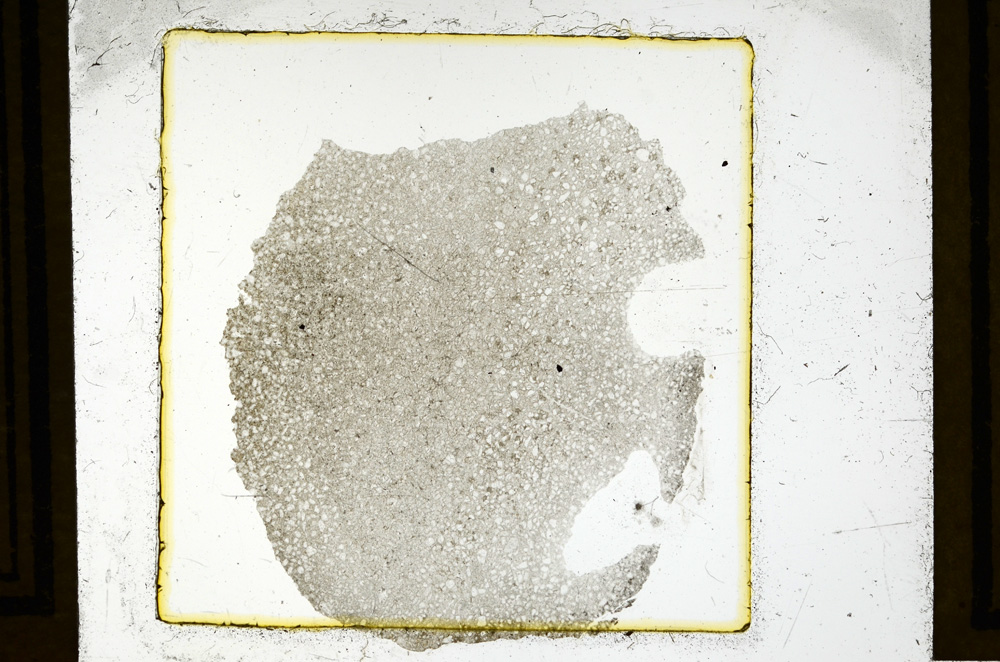 Plane Polarized, ED2955