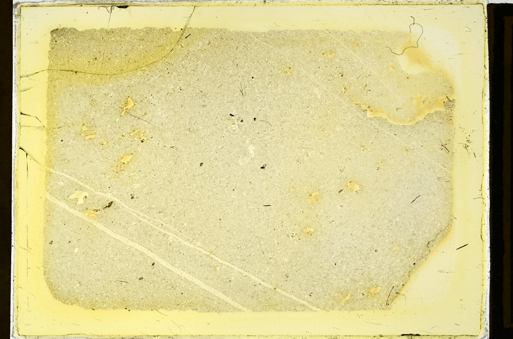 Plane Polarized, ED2968