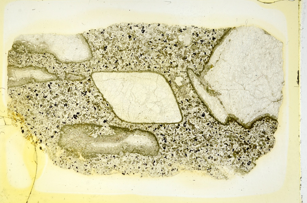 Plane Polarized, ED3231