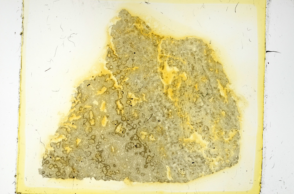 Plane Polarized, ED3287