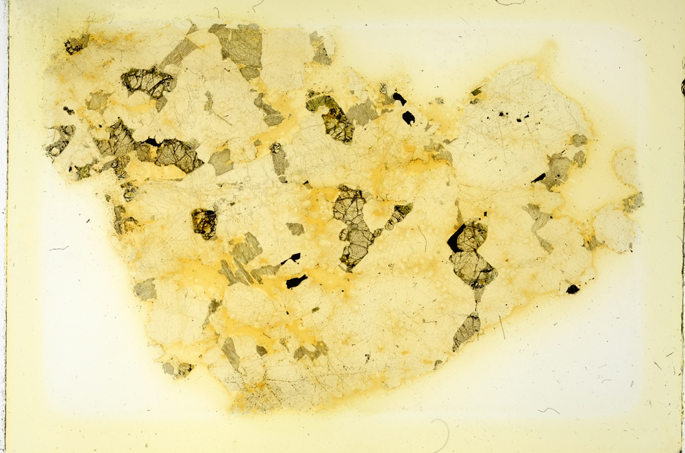 Plane Polarized, ED3379