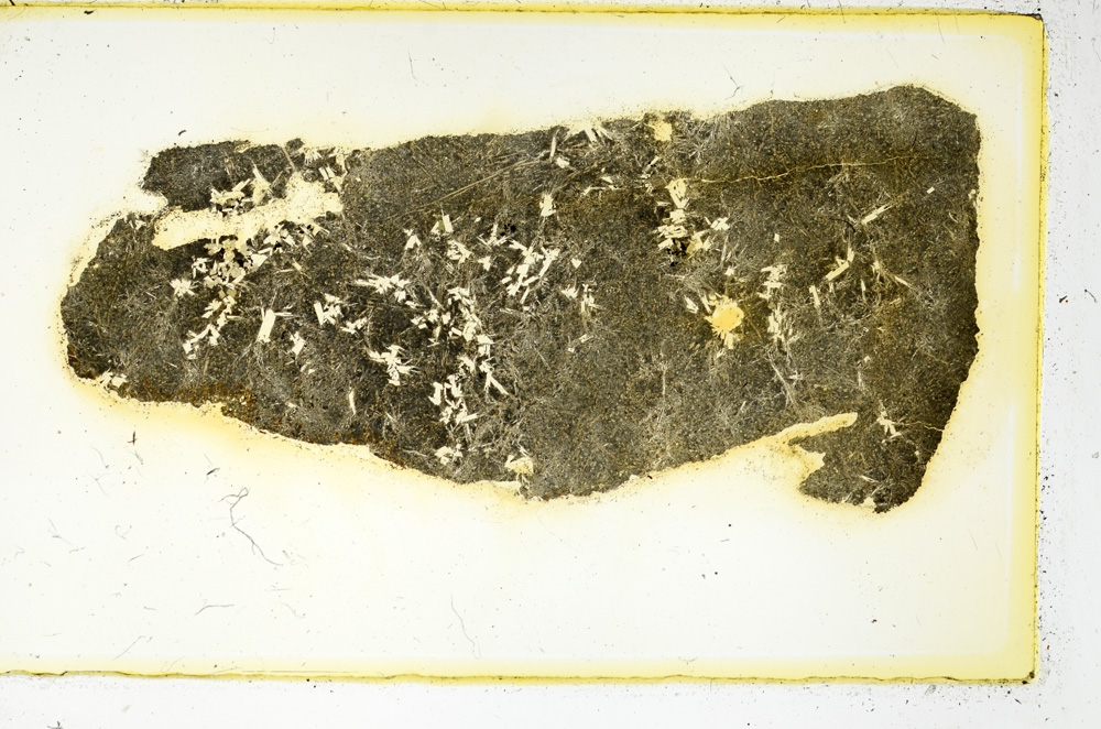 Plane Polarized, ED3419