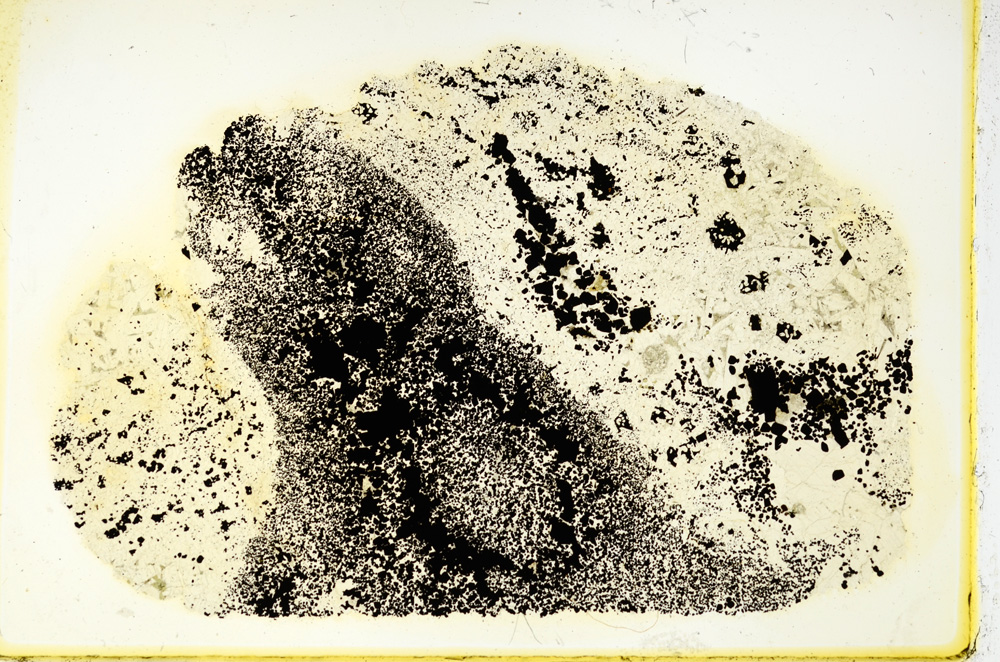 Plane Polarized, ED3424