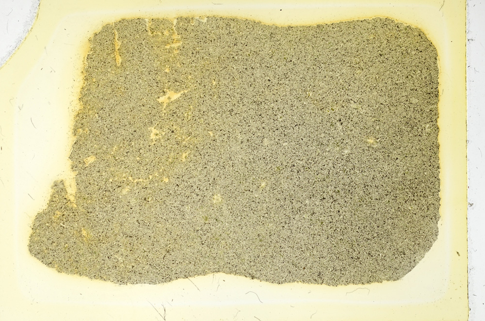 Plane Polarized, ED3433