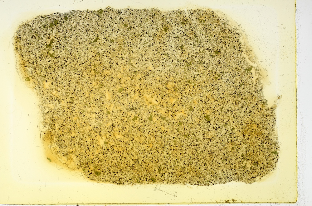 Plane Polarized, ED3436