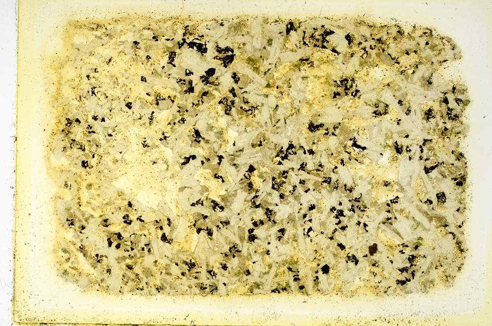 Plane Polarized, ED3443