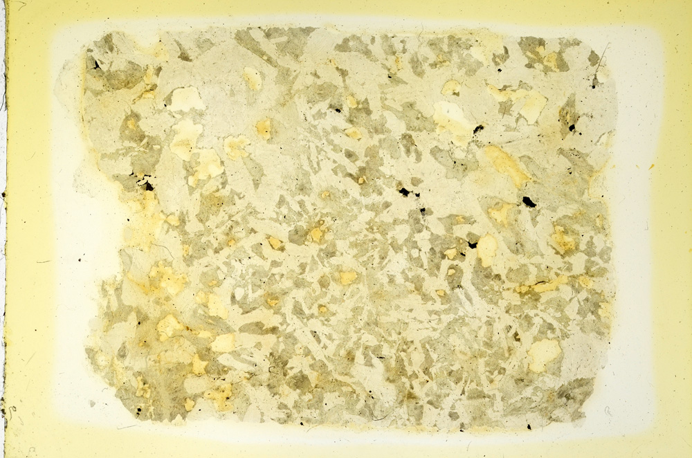 Plane Polarized, ED3575