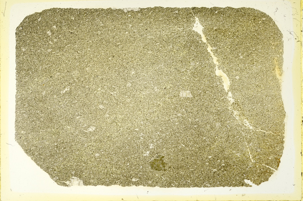 Plane Polarized, ED3617