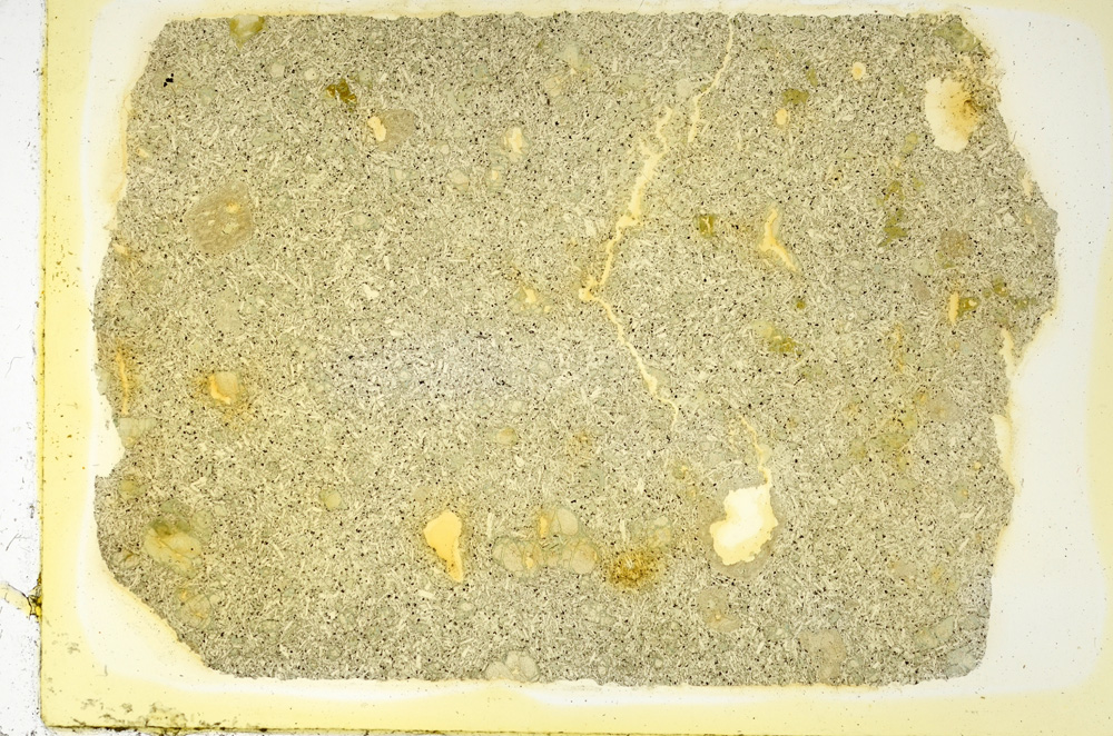 Plane Polarized, ED3662