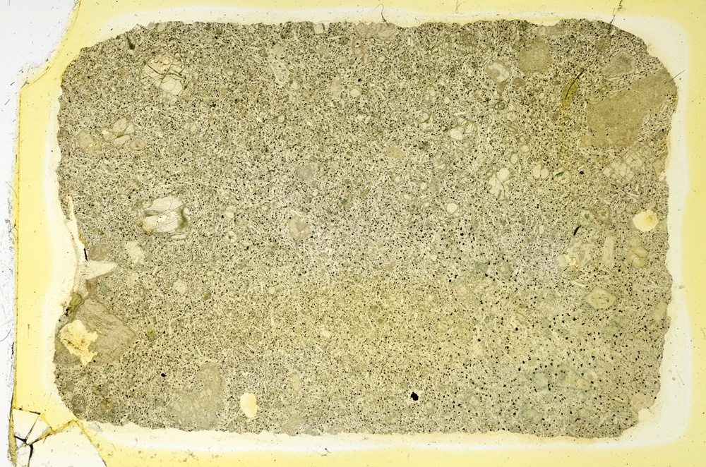 Plane Polarized, ED3665