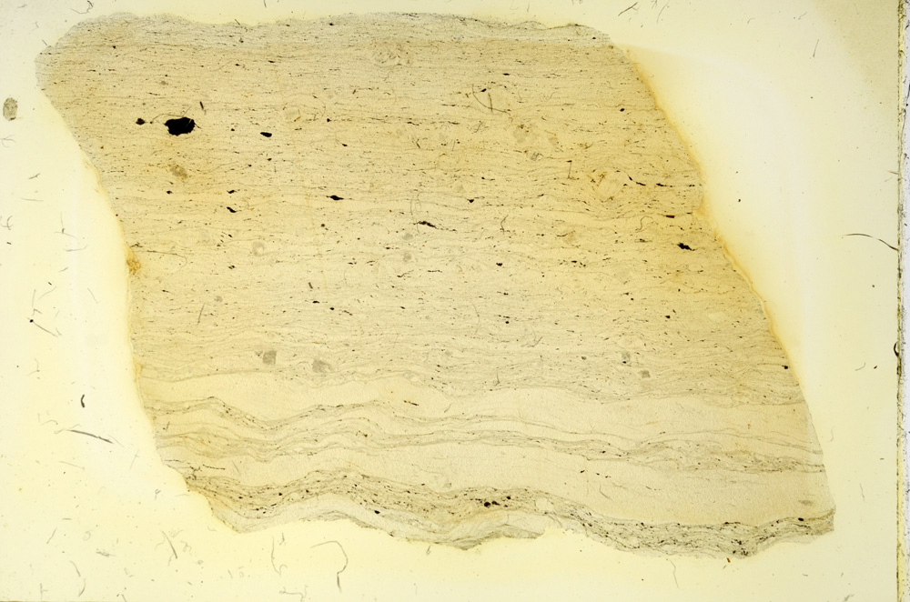 Plane Polarized, ED3763