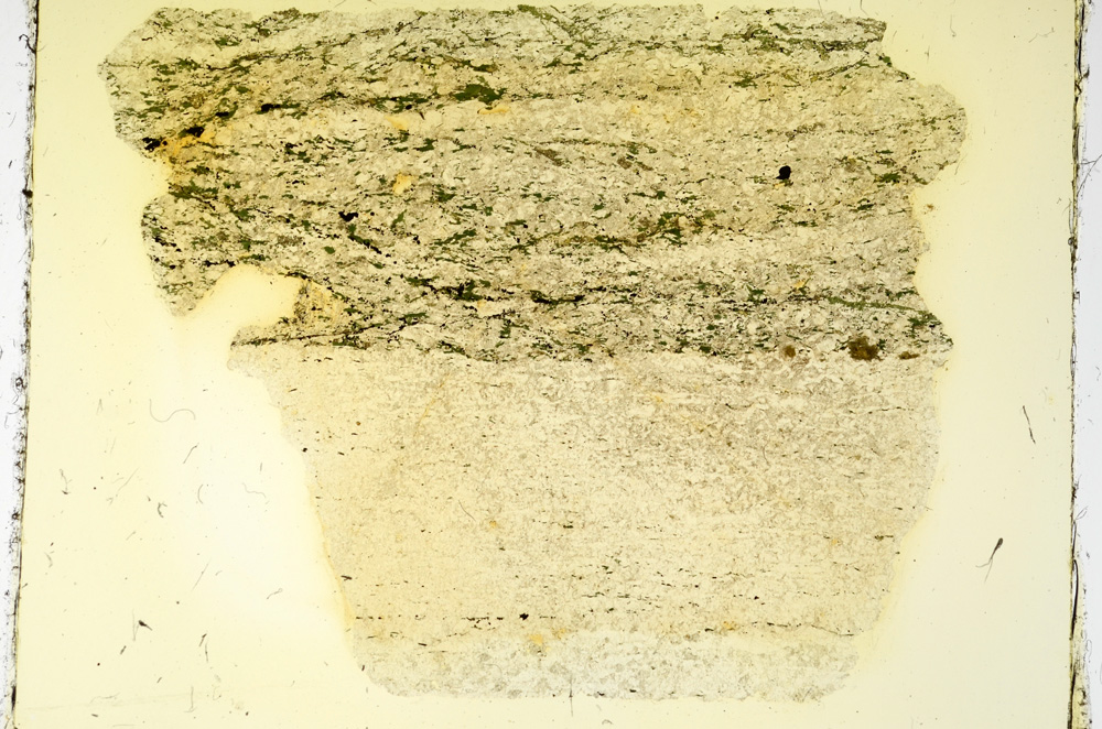 Plane Polarized, ED3780