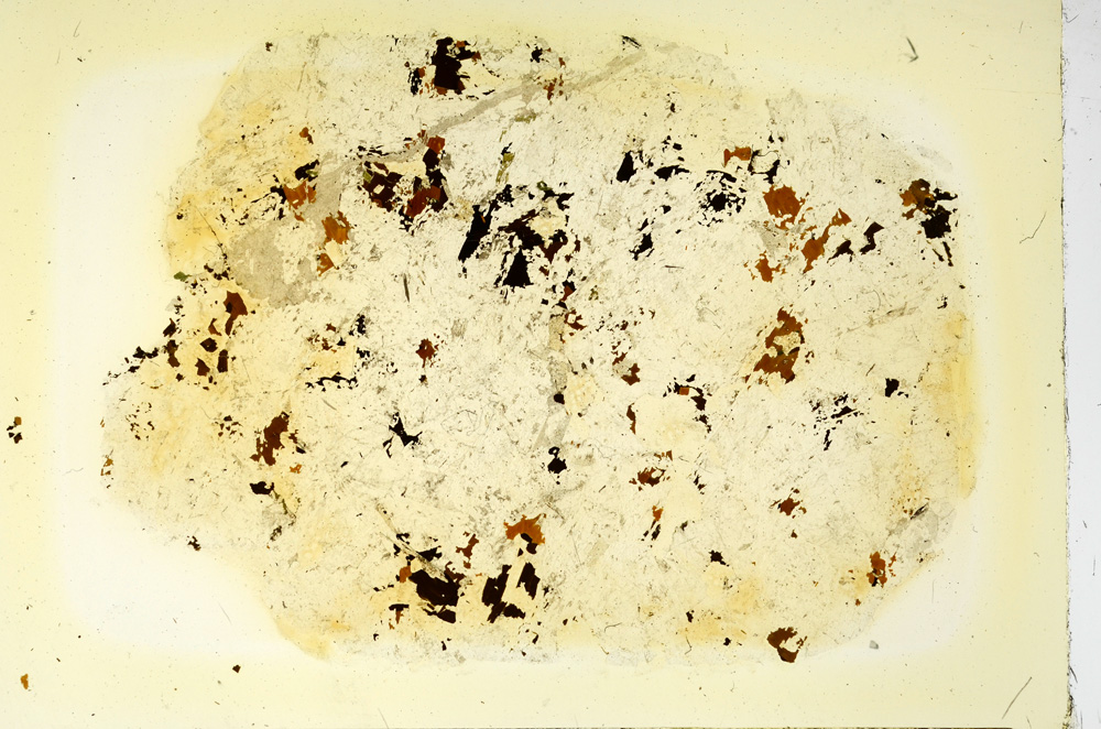 Plane Polarized, ED3828