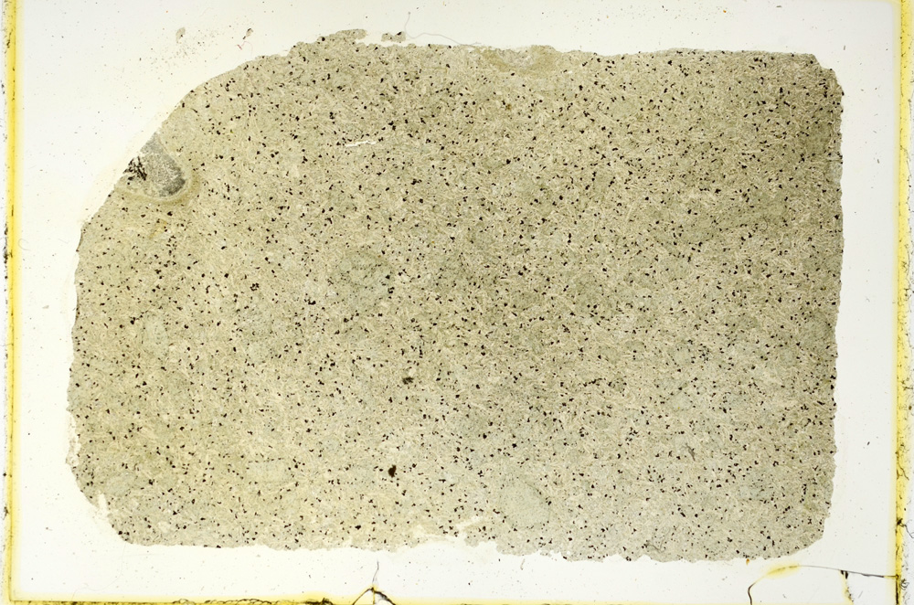 Plane Polarized, ED3939