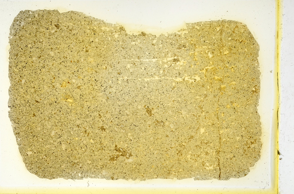 Plane Polarized, ED3946