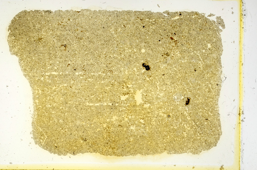 Plane Polarized, ED3949