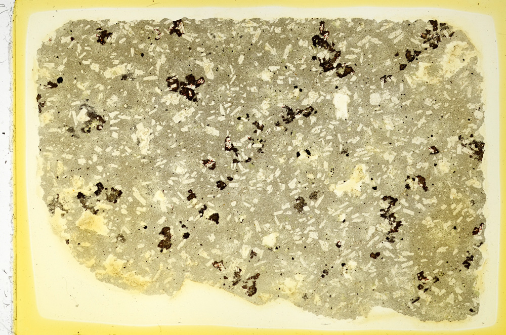 Plane Polarized, ED4025