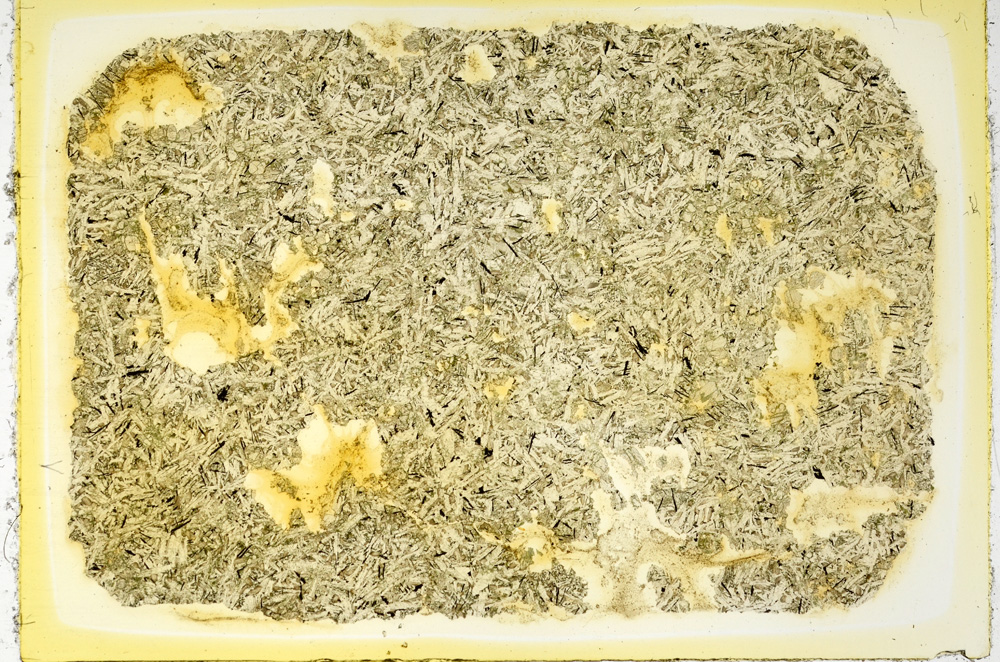 Plane Polarized, ED4031