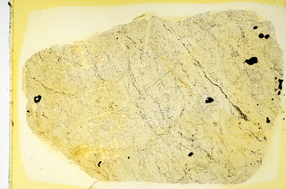 Plane Polarized, ED4051