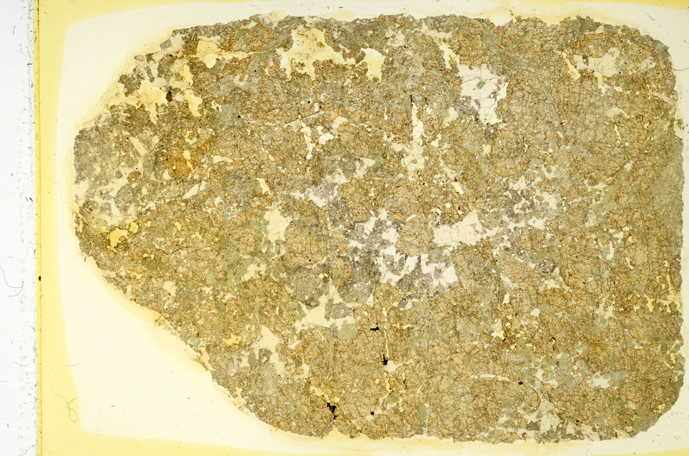 Plane Polarized, ED4069