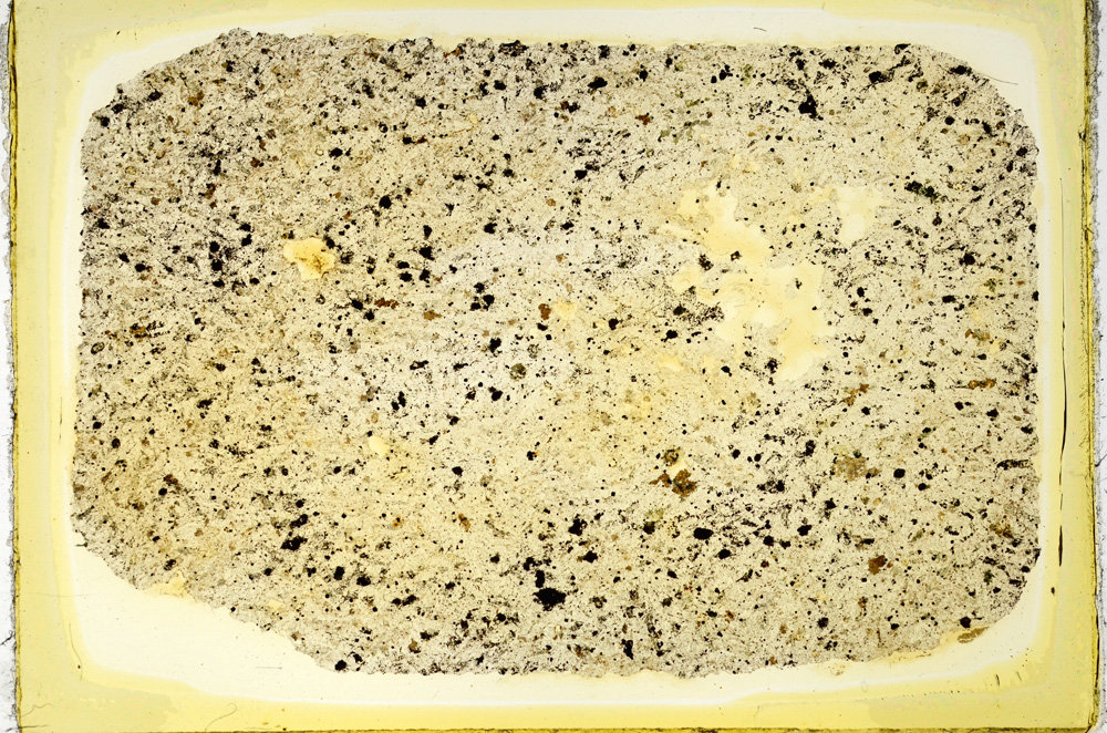 Plane Polarized, ED4088