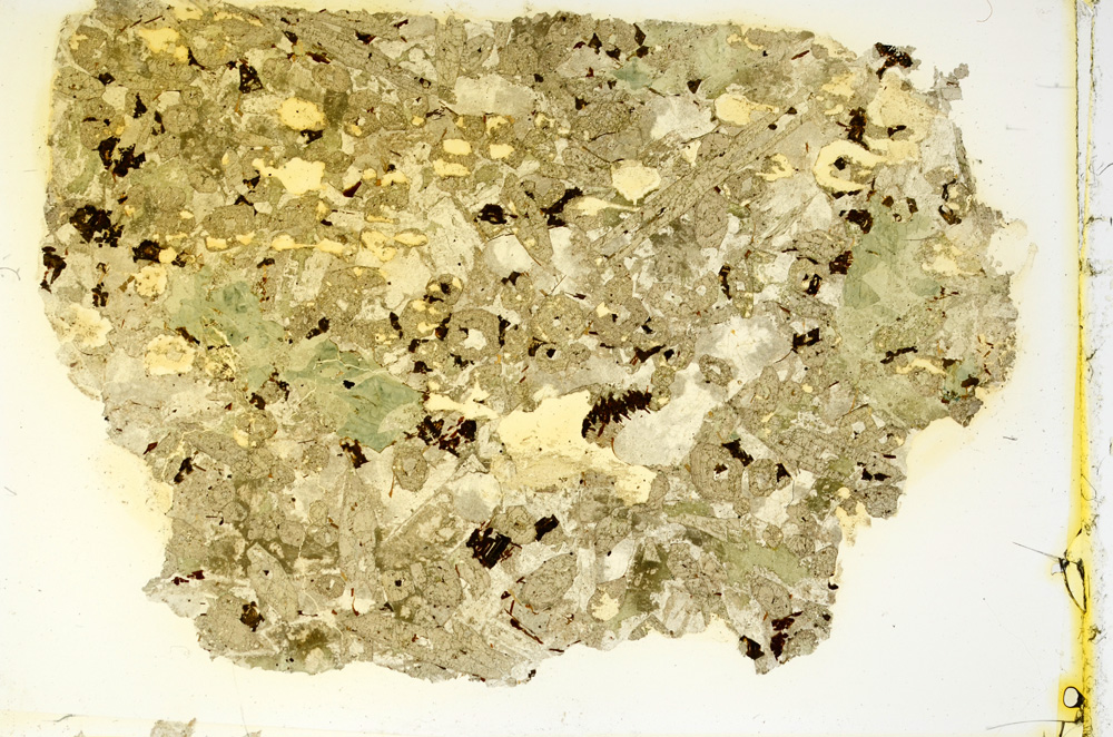 Plane Polarized, ED4094