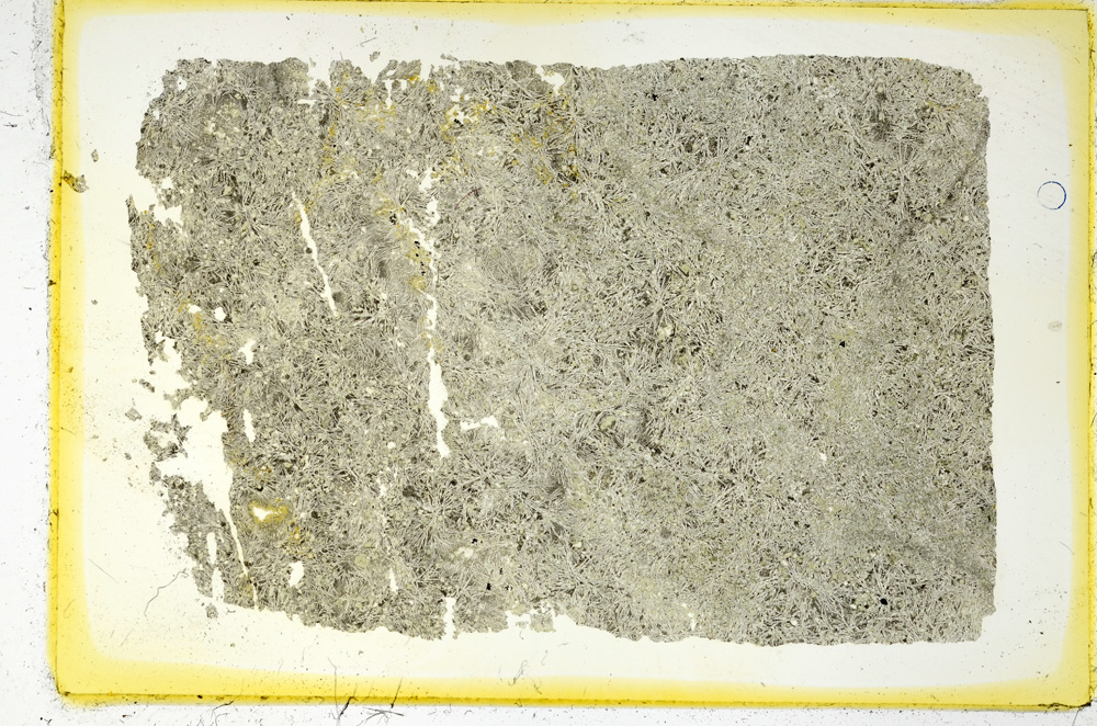 Plane Polarized, ED4118