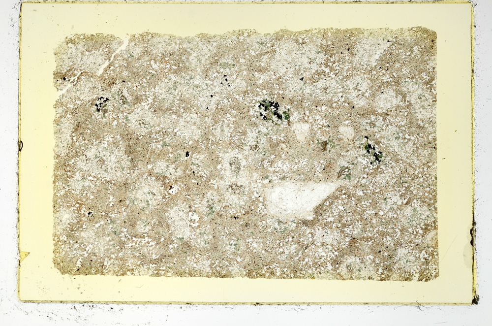 Plane Polarized, ED4131