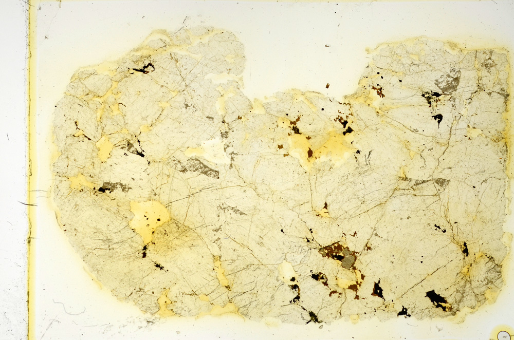 Plane Polarized, ED4315