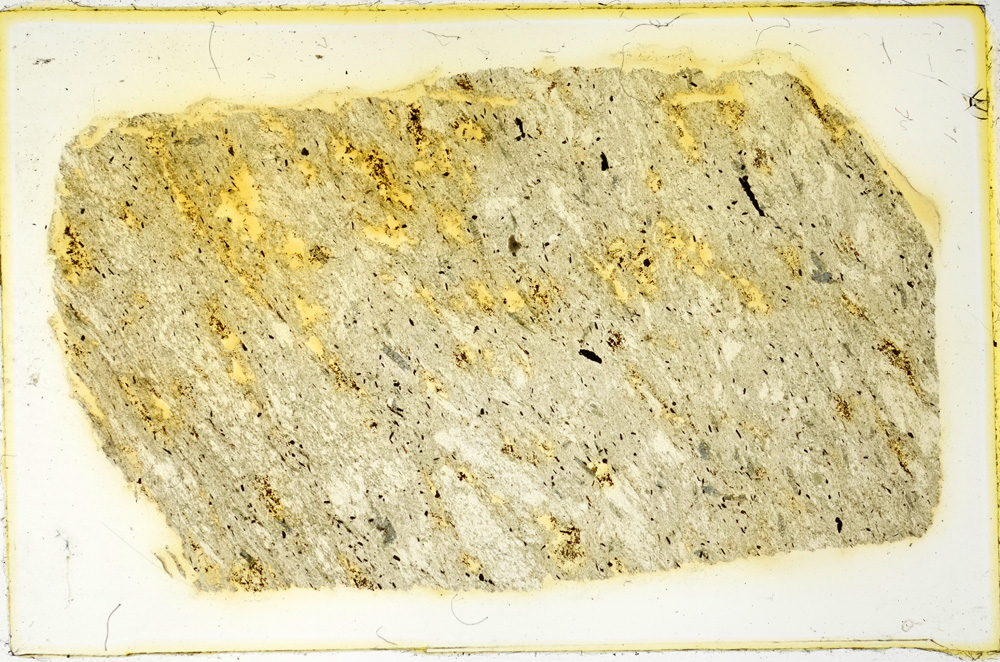 Plane Polarized, ED4337