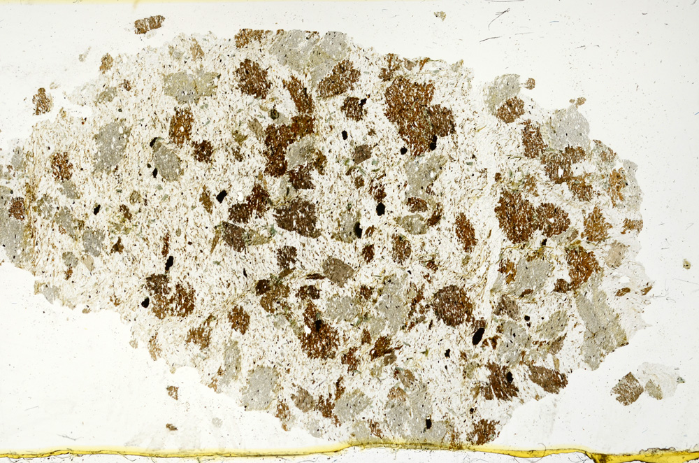 Plane Polarized, ED4344