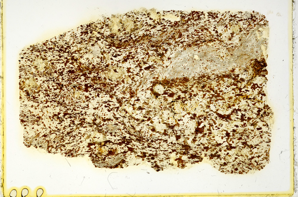 Plane Polarized, ED4350