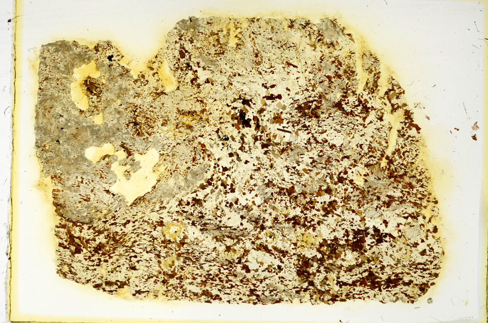 Plane Polarized, ED4367